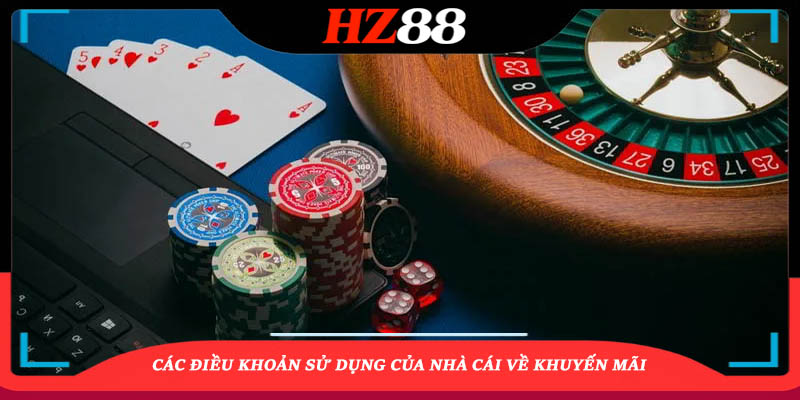 Điều Khoản Và Điều kiện Về Khuyến Mãi 