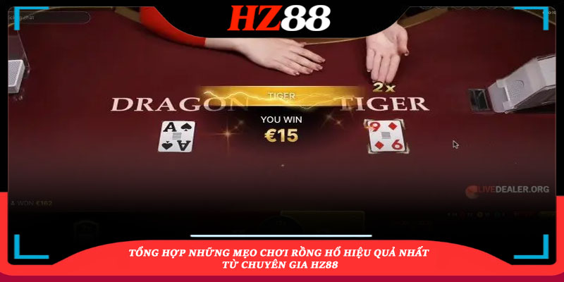 Mẹo Chơi Rồng Hổ Từ Chuyên Gia Hz88