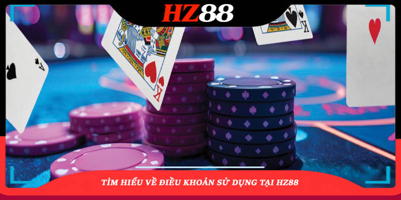 Tìm Hiểu Điều Khoản Và Điều Kiện Tại Hz88